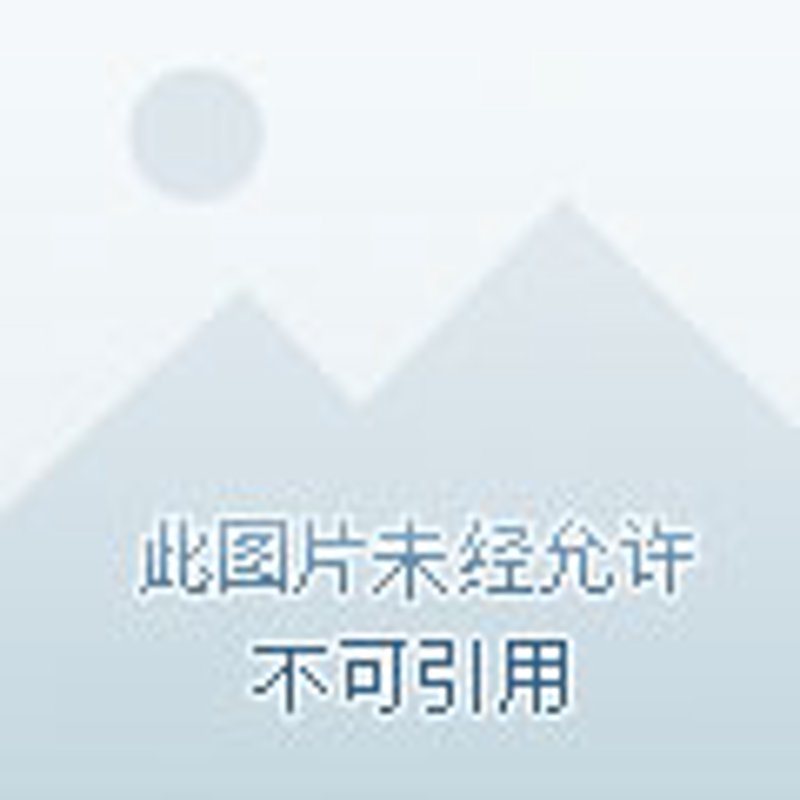 深圳箱包产业:紧跟潮流的新风尚